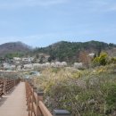 옥정호 마실길 펜션 이미지