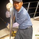 도깨비호프 이미지