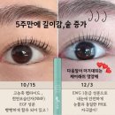 네눈에 이미지