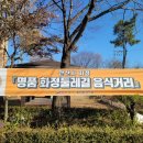 댕이골 전통음식거리 이미지