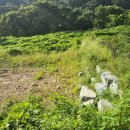 하우농장 이미지