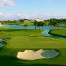 Top 스크린골프존 이미지