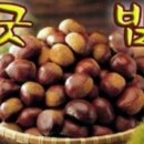 굿밤 Daum카페