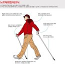 전신 걷기 운동 노르딕 워킹 이미지