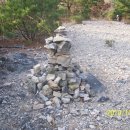 청우그린 이미지