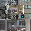 오.빵 타이어 | 글미걸슨과 F1 나고야 2박3일 여행기#1 | 나고야 맛집 / 기린 맥주공장