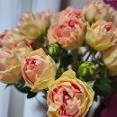 석곡로 | 광주 버뮤다 카페 조용히 머물기 좋은 감성카페 솔직후기