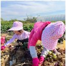 태화어린이집 이미지