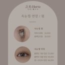 지미뷰티 | 내돈내산 유성NC백화점 2층. 지미헤르츠 마사지샵 후기
