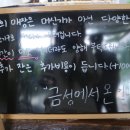 금성에서 온 언니