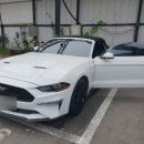 동천세차장 이미지