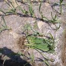 삼동초등학교 이미지