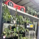 무주지포트 아산읍내점 이미지