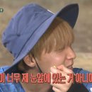 개미농장 이미지