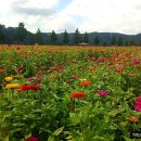 낙동강변 이미지