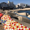 바다가보이는정원민박 이미지