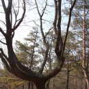 등산식당 이미지