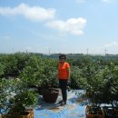 영순농장 이미지