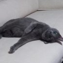 88체육사 이미지
