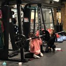 릴리(Lily) 이미지