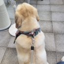 소망종합 동물병원 이미지