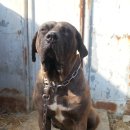 승의농장 이미지