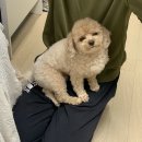 헤이리힐스109 이미지