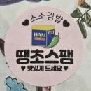 소소분식 | 장성 진원면 소소김밥 키토김밥 느낌의 김밥 분식 맛집 내돈내산 후기