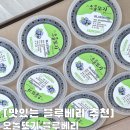 국내산 제주 블루베리 추천 너무 맛있는 오돌또기 블루베리