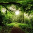 초록풍경 이미지