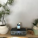 파라오노래연습장 이미지