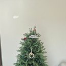 꽁냥꽁냥 키즈풀빌라 이미지