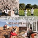 끌레헤어 - 동구 샛골로 201 | 대구 만지작스냅 추천 | 결혼 전부터 찜했던 웨딩스냅 계약 이유