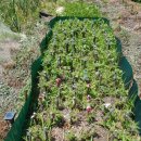 풀천지농장 이미지