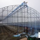 오가네 농장 이미지