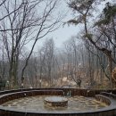 나비의꿈 | 수락휴 24호 나비의꿈 후기다 우끼