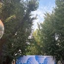 블루칩 | 청담나잇 2025 후기: 강남아트살롱과 블루칩 작품 컬렉팅 현장