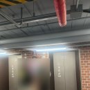 002-파주-002 | 파주 신세계아울렛 라코스테 나이키 운동화 할인 득템 후기 🛍️