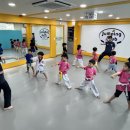 용인대금메달태권도(중계) 이미지