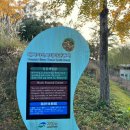 힐링가야금무용 이미지