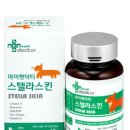 마이펫톡톡 네이버블로그