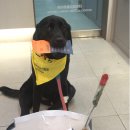 레오동물병원 이미지