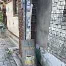 경기도 수원시 장안구 송정로59번길 | 2025, 9월 일상 브이로그