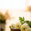 자연다움 이미지