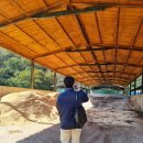 합동축사 이미지