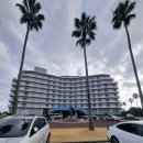 푸른밤 그별아래 | '떠나요 둘이서 힘들게 별로 없어요 제주도 푸른 밤 그 별 아래' 2026년 3월 제주여행