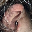 독일보청기 | 어머니와 함께 다녀온 성남보청기센터, 독일보청기 방문 후기