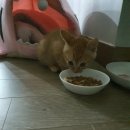 제주오름동물병원 이미지