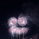 PC명당 | 2025 서울 여의도불꽃축제 명당 장소 노량진수산시장 후기 꿀팁 추천 준비물 불꽃축제 시간 일정
