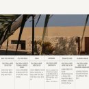 스테이 G 이미지